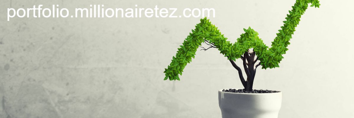 portfolio.millionairetez.com
